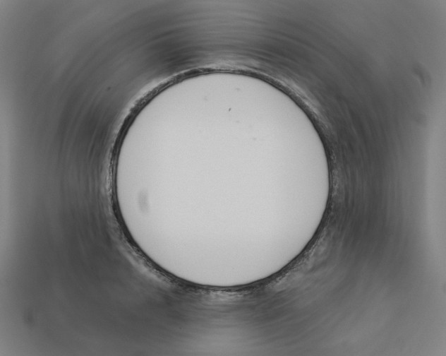 X0000113360848200910061038