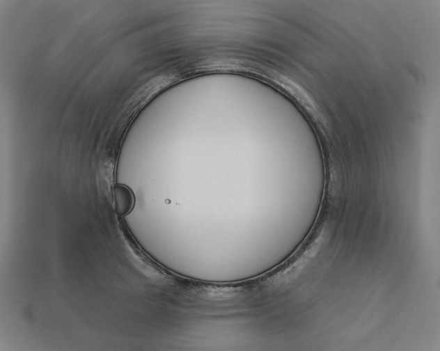 X0000113360849200910061038