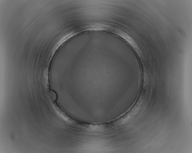 X0000113360850200910061038