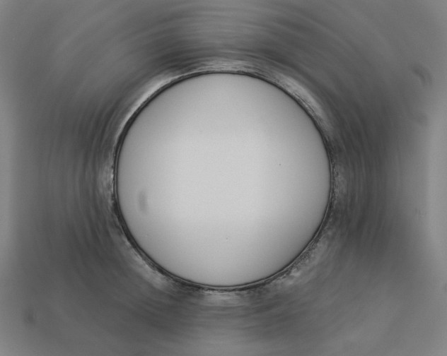 X0000113360852200910061038