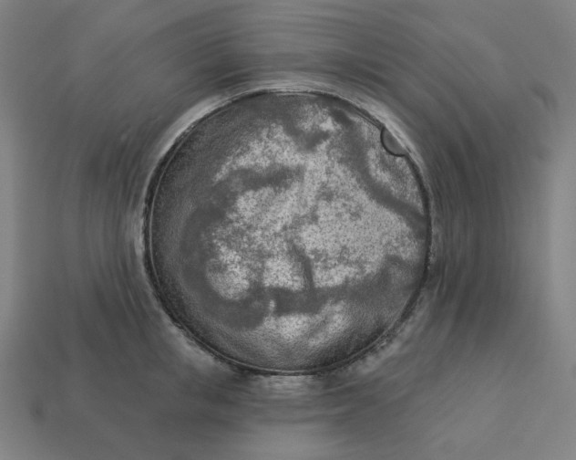 X0000113360853200910061038