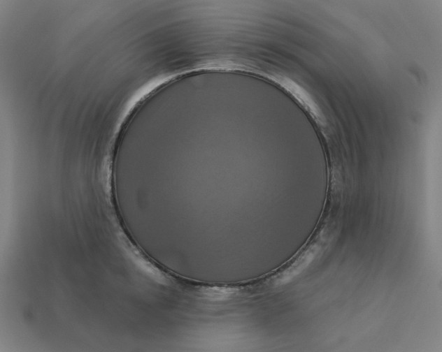 X0000113360854200910061038