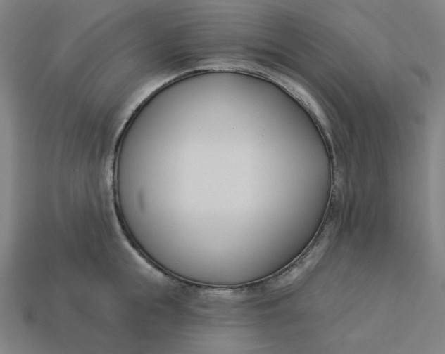 X0000113360855200910061038