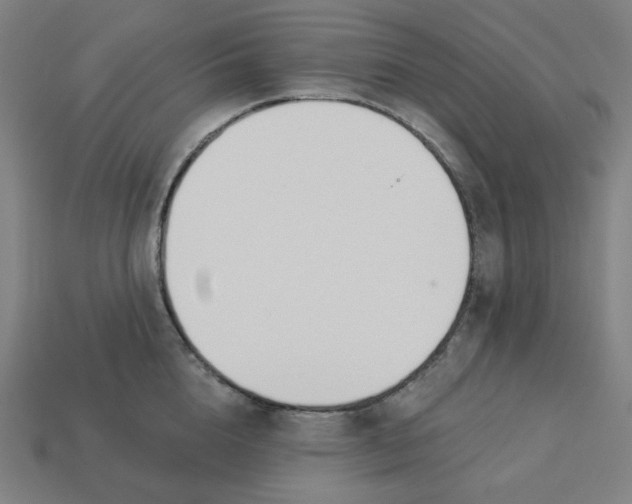 X0000113360856200910061038