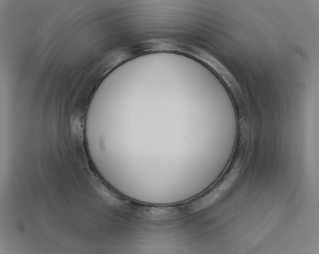 X0000113360857200910061038