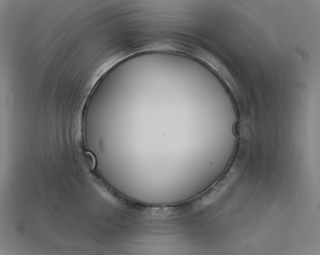 X0000113360858200910061038