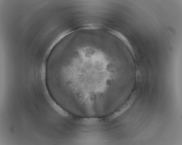 X0000113360859200910061038