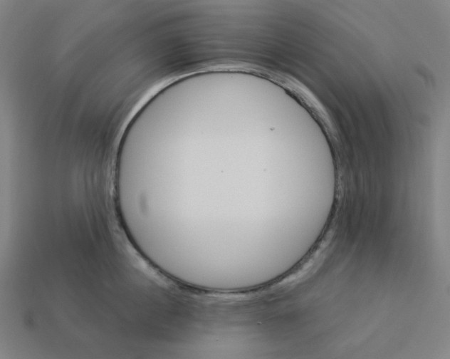 X0000113360860200910061038