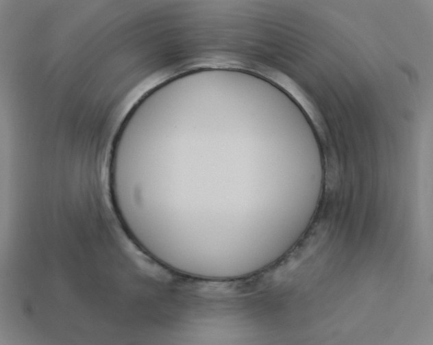 X0000113360861200910061038