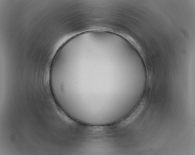 X0000113360862200910061038