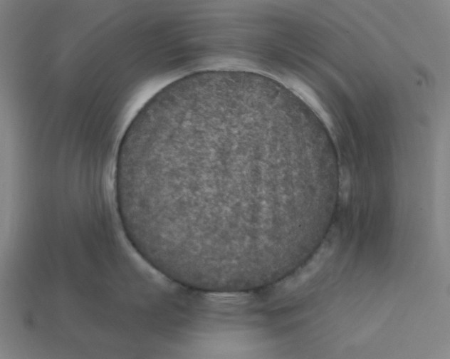 X0000113360863200910061039