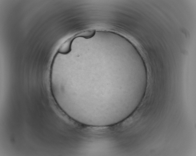 X0000113360864200910061039