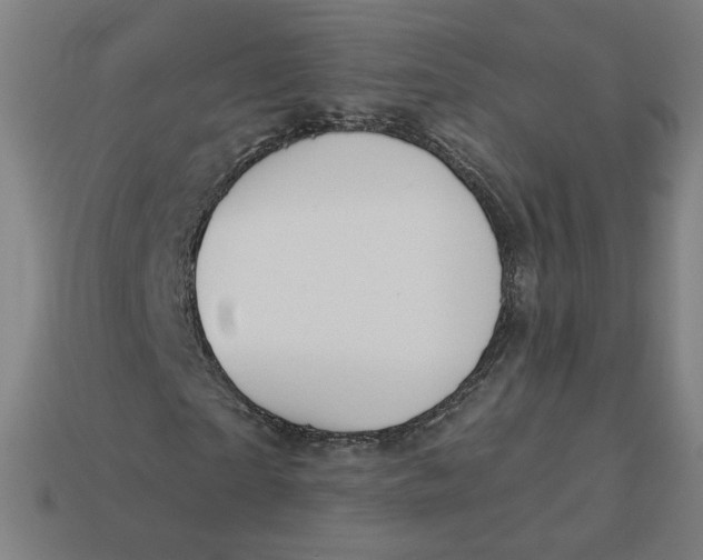 X0000113360865200910061038