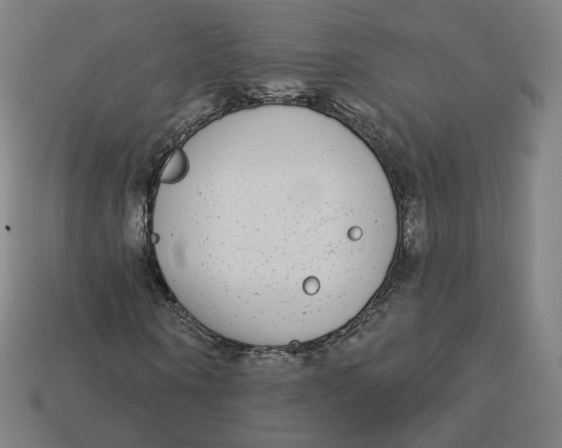 X0000113360866200910061038