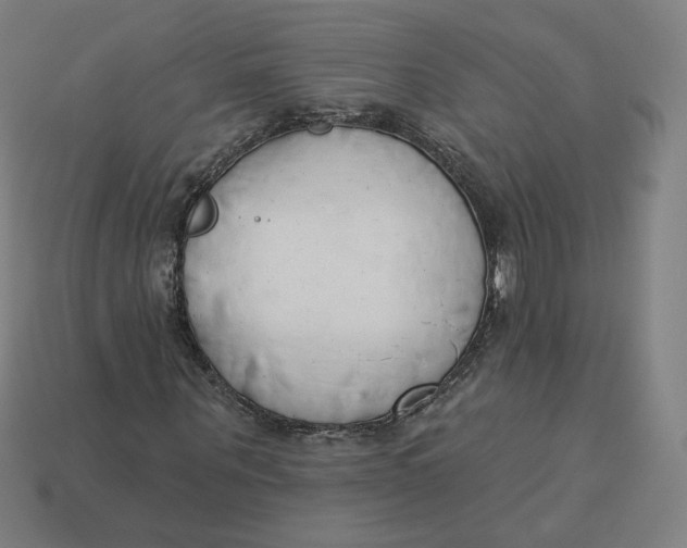 X0000113360867200910061038