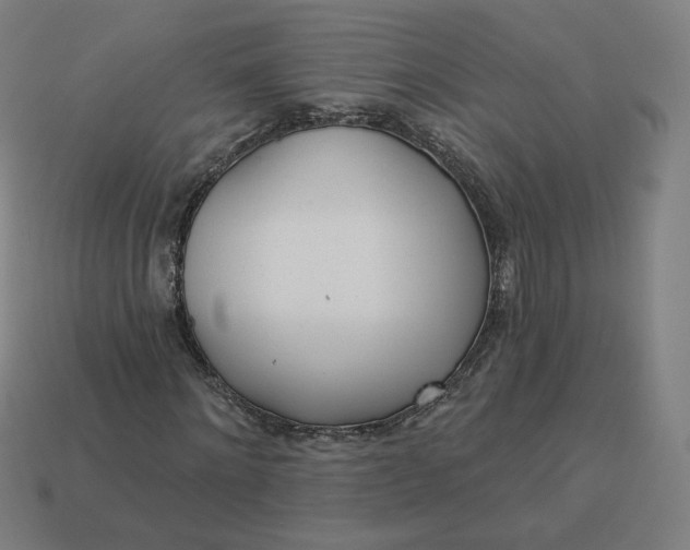 X0000113360868200910061038