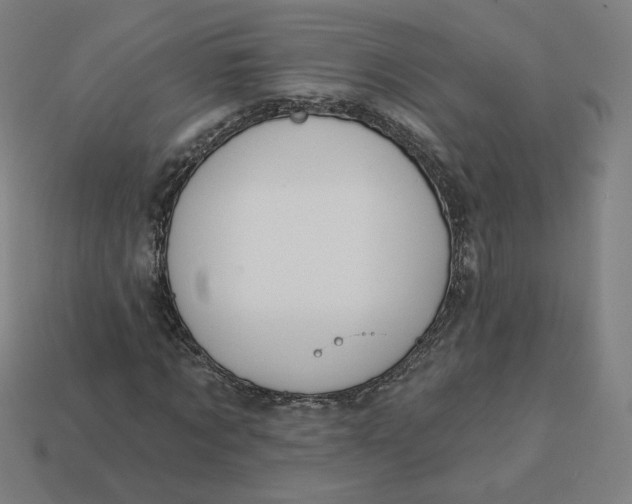 X0000113360869200910061038