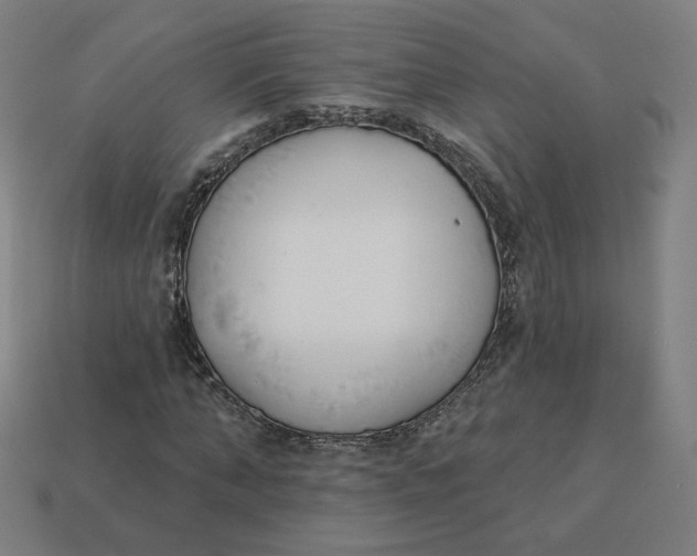 X0000113360870200910061038