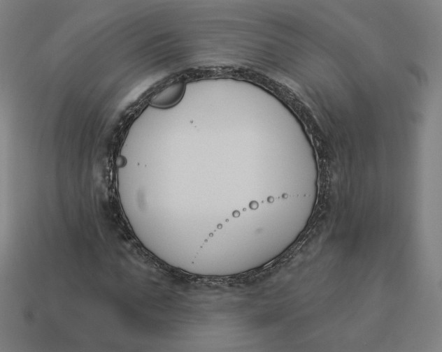 X0000113360871200910061038