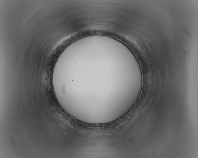 X0000113360872200910061038