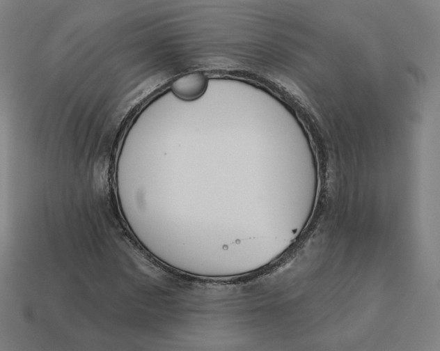 X0000113360873200910061038