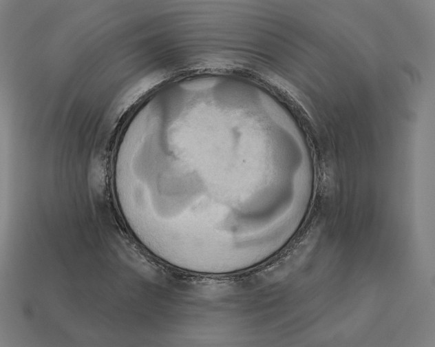 X0000113360874200910061038