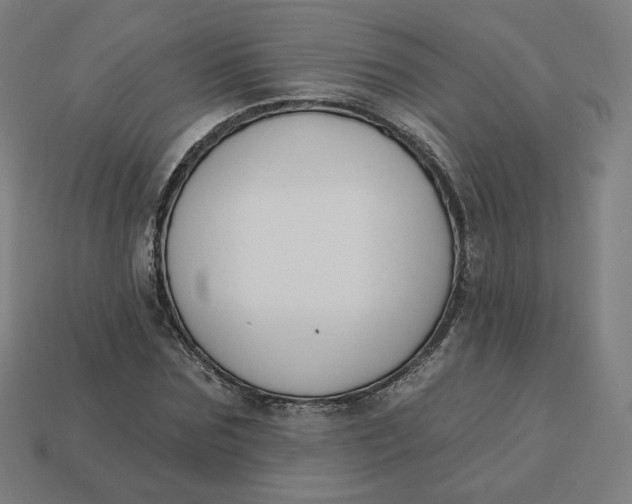 X0000113360875200910061038