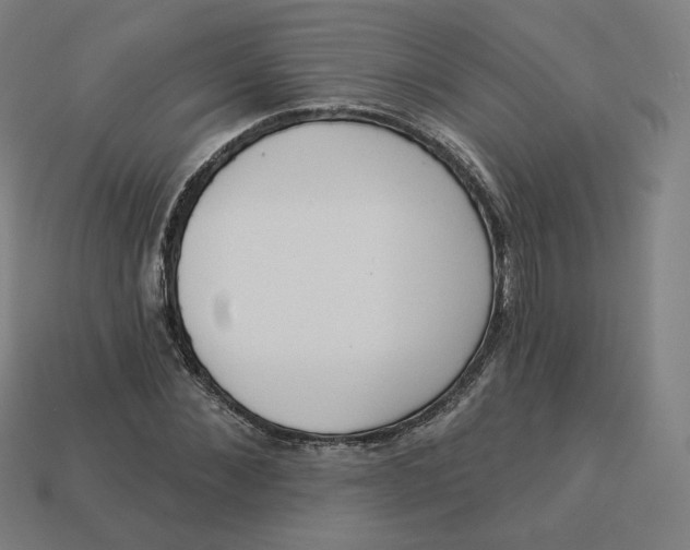 X0000113360876200910061037