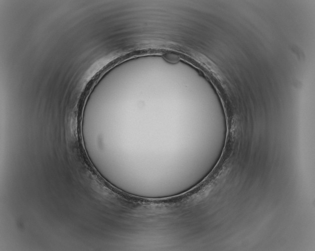 X0000113360877200910061037