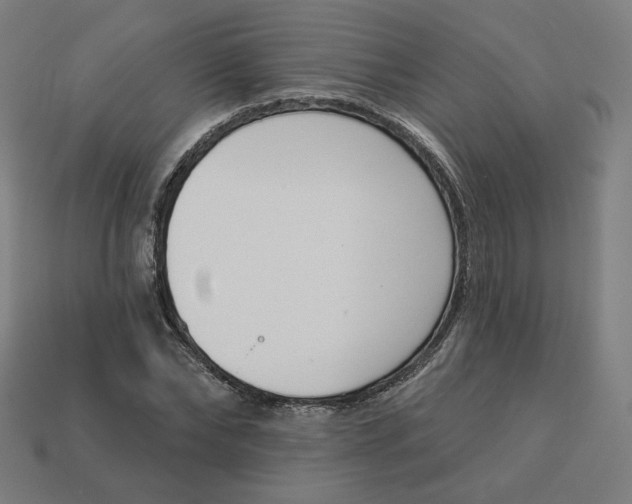 X0000113360878200910061037