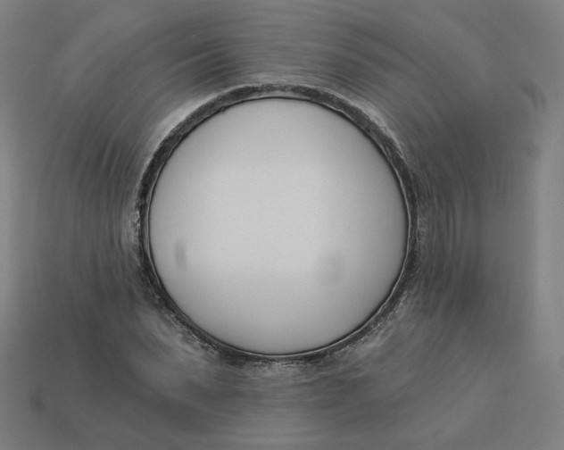 X0000113360879200910061037