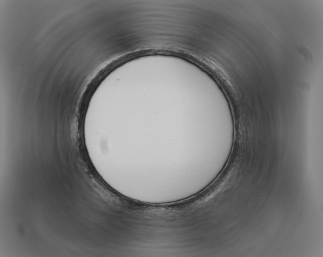 X0000113360880200910061037