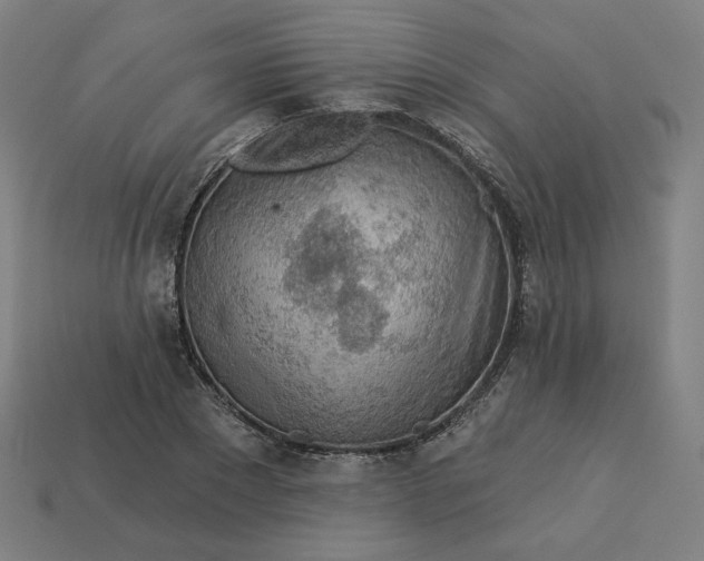 X0000113360881200910061037