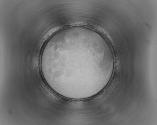 X0000113360882200910061037