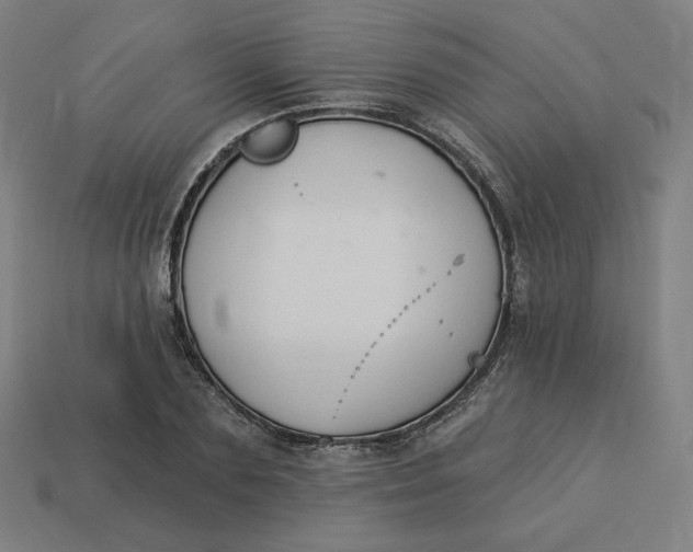 X0000113360883200910061037