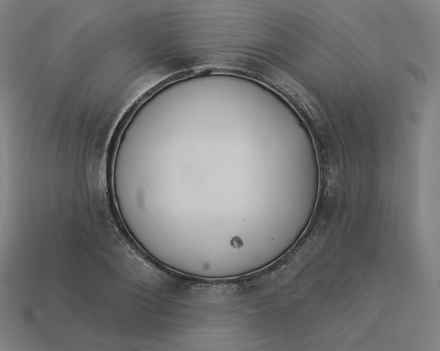 X0000113360884200910061037