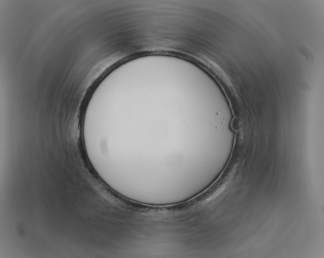 X0000113360885200910061037