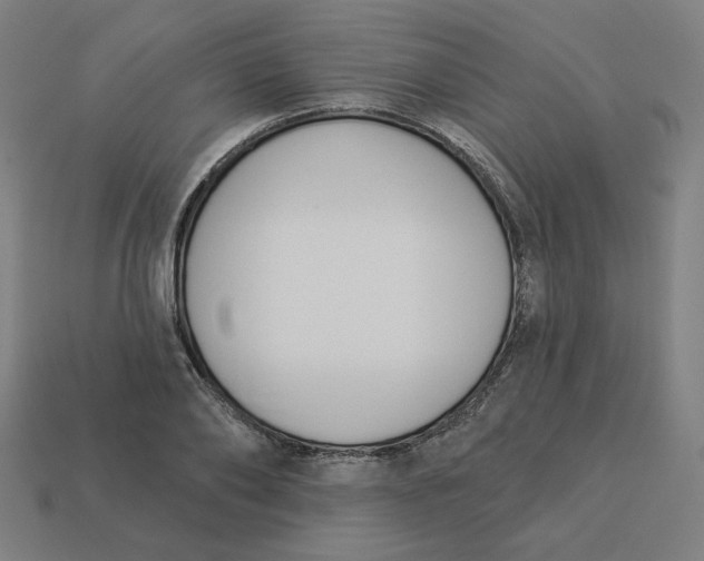 X0000113360886200910061037