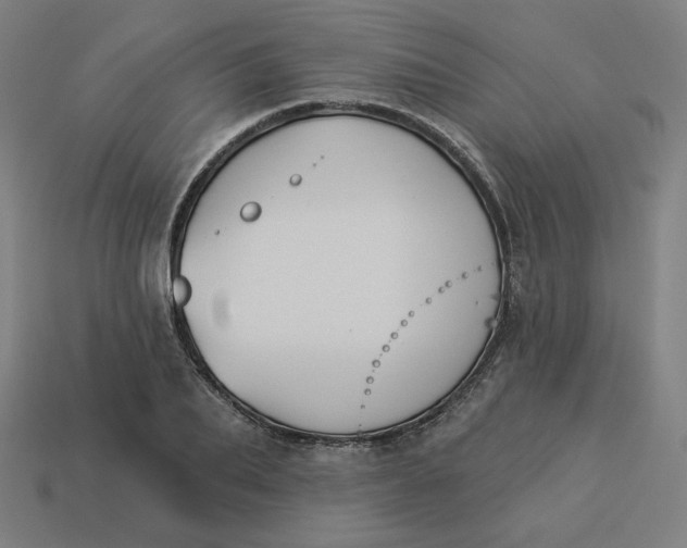 X0000113360887200910061037