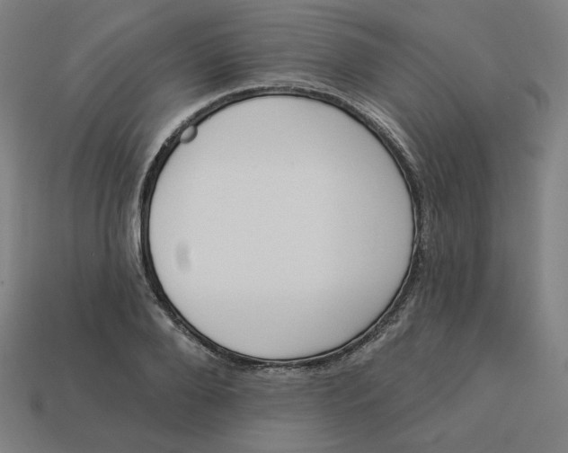 X0000113360888200910061037