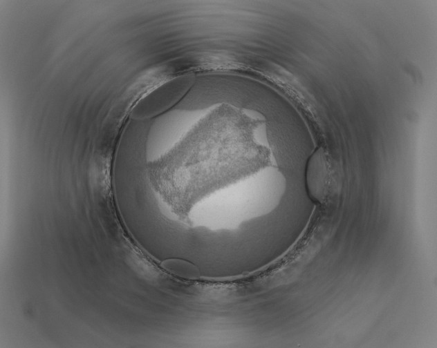 X0000113360889200910061037