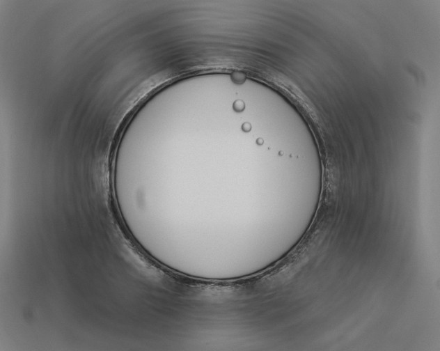 X0000113360890200910061037