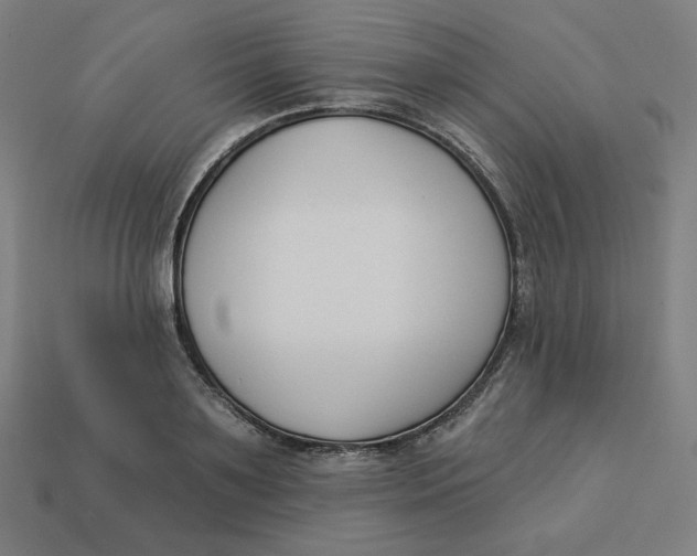 X0000113360891200910061037