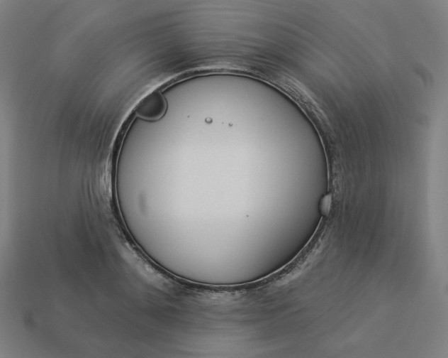 X0000113360892200910061037