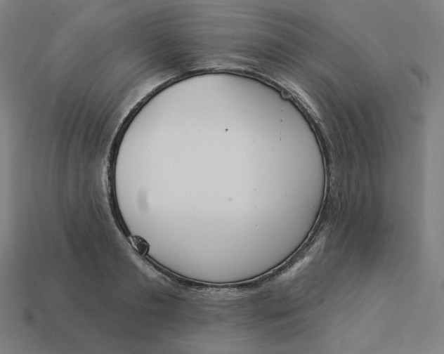 X0000113360893200910061037