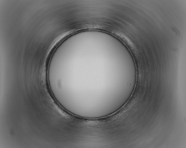 X0000113360894200910061037