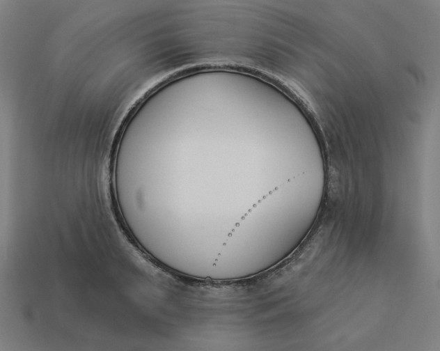 X0000113360895200910061037