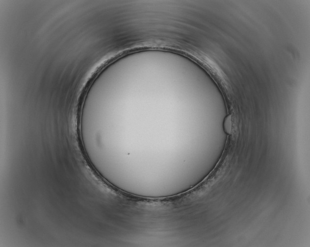 X0000113360896200910061037