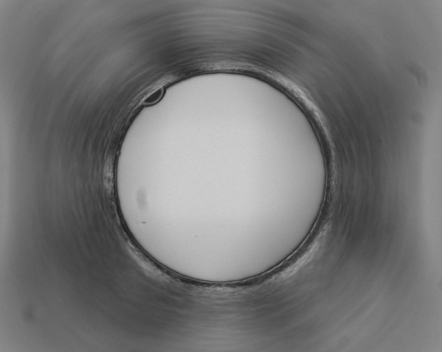 X0000113360897200910061037