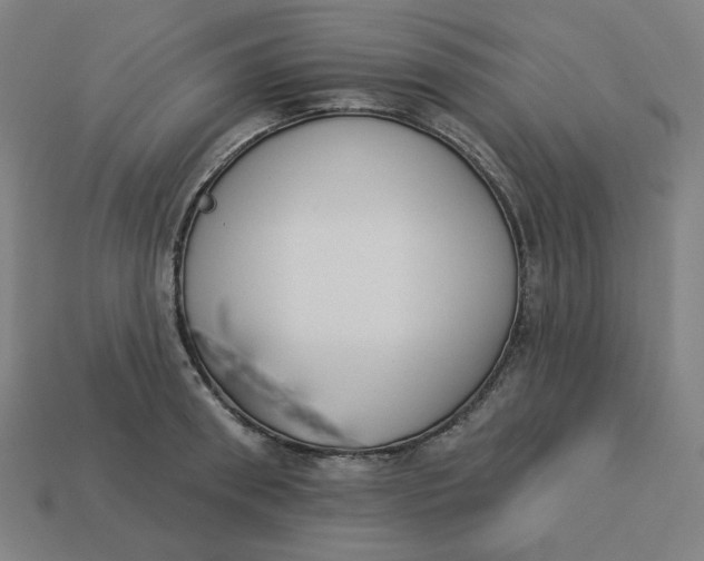 X0000113360898200910061037